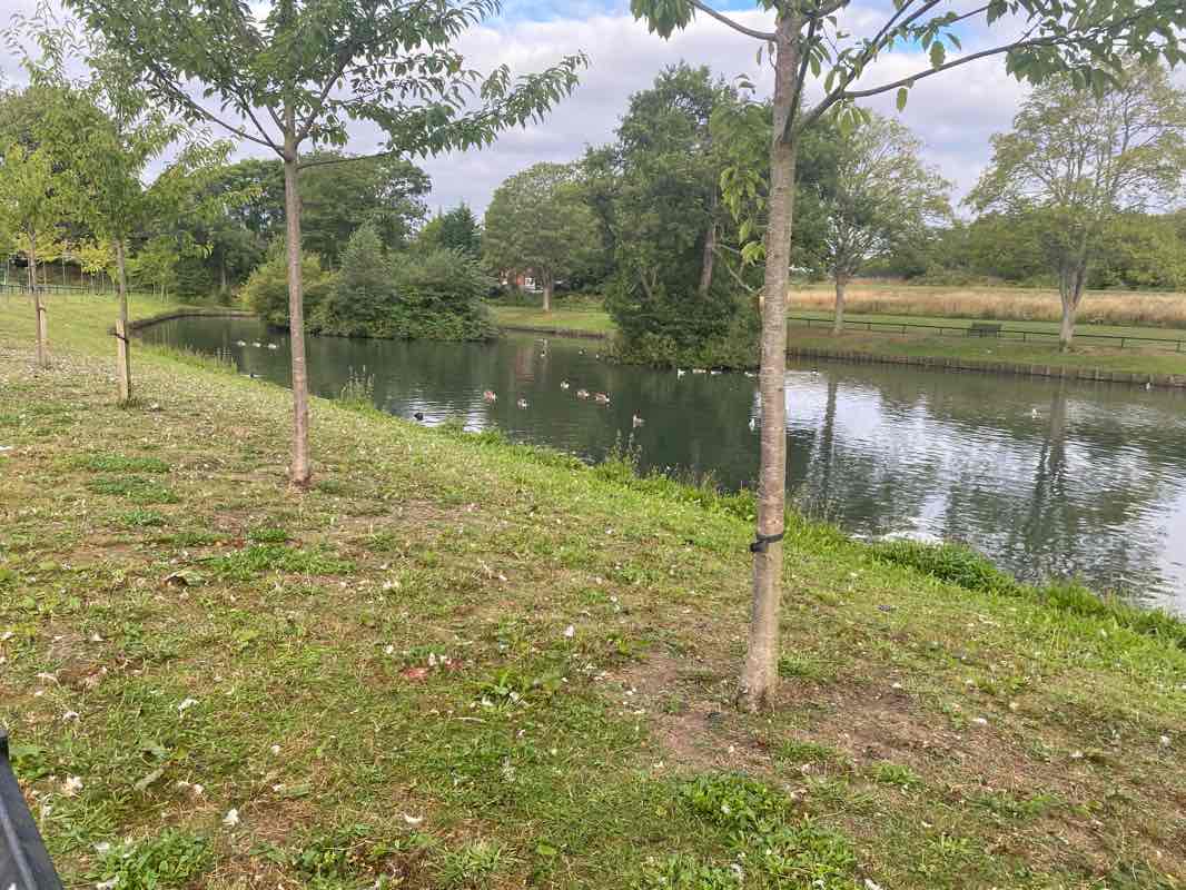 walking near me in Smethwick Hall Park in autumn