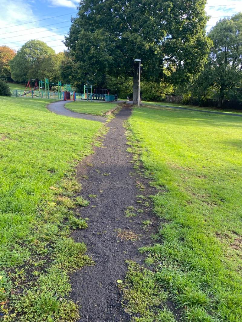 walking near me in Howley Grange Park in autumn