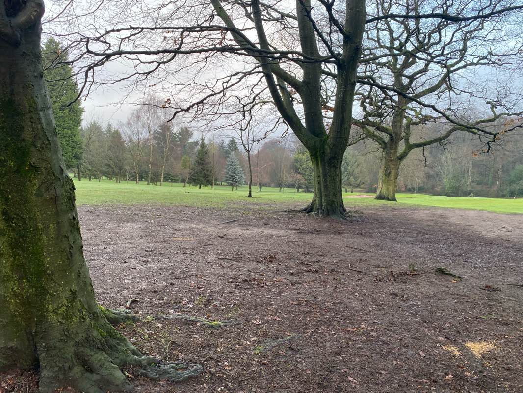 walking near me in Warley Woods Park in winter