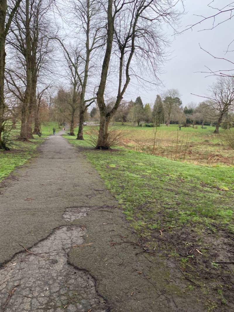 walking near me in Queen's Park in winter