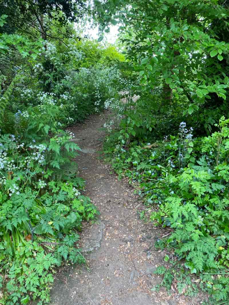 walking near me in Castle Hill in spring