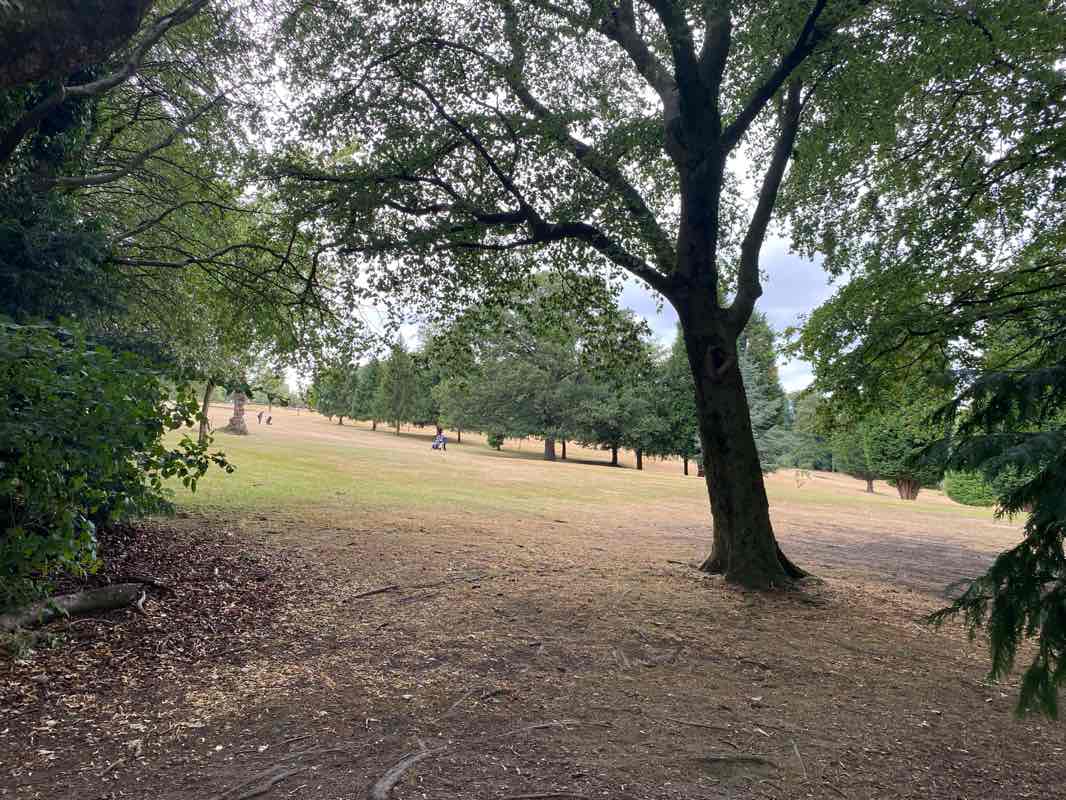 walking near me in Warley Woods Park in summer