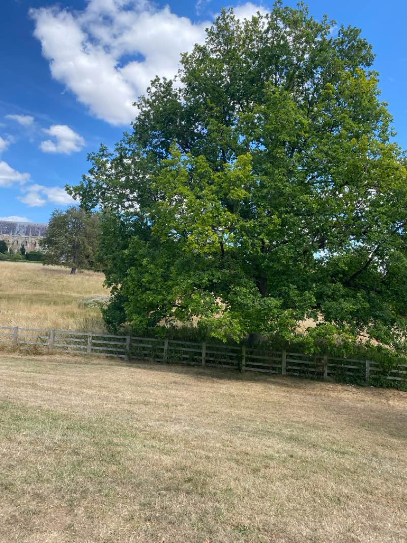 walking near me in Cherry Hill in summer