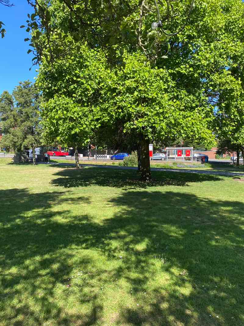 walking near me in Coronation Gardens in spring