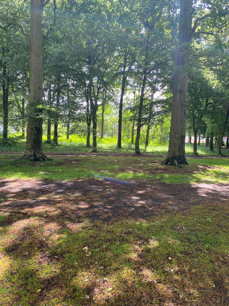 walking near me in Warley Woods Park in spring