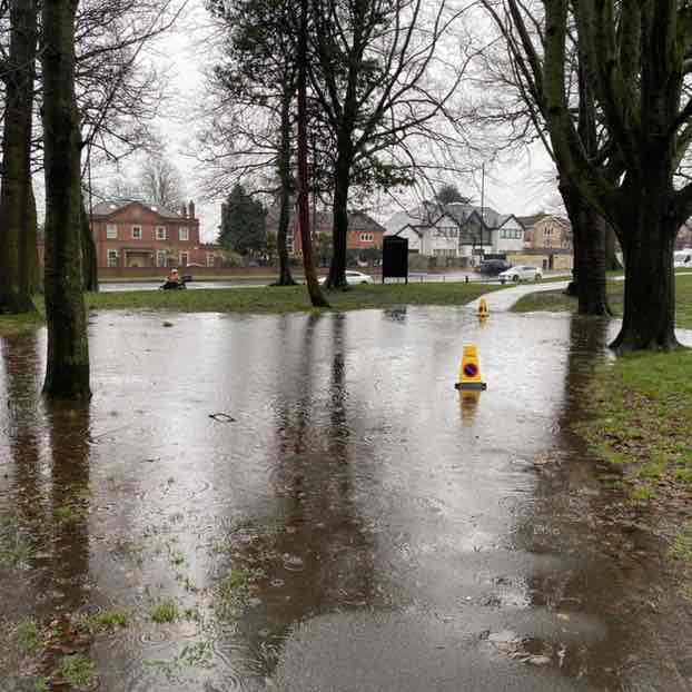 Free Strides Alan post image