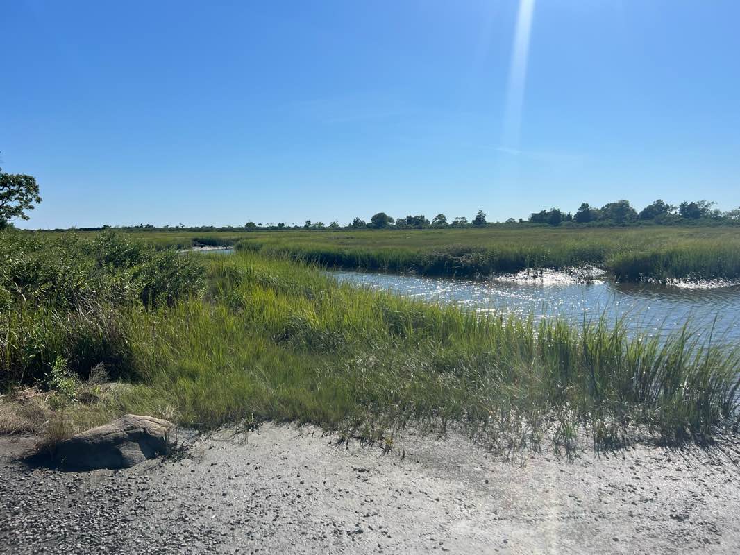 walking near me in Hammonasset Beach State Park in autumn