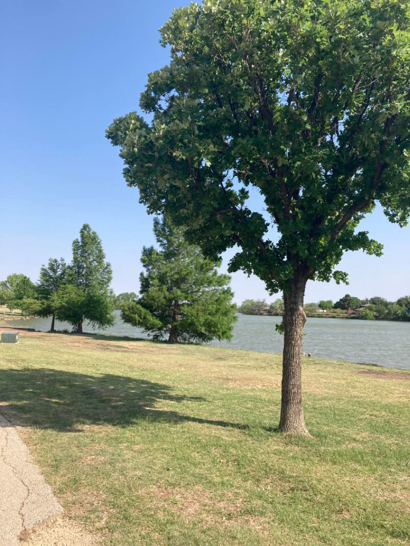 walking near me in Stevenson Park in winter