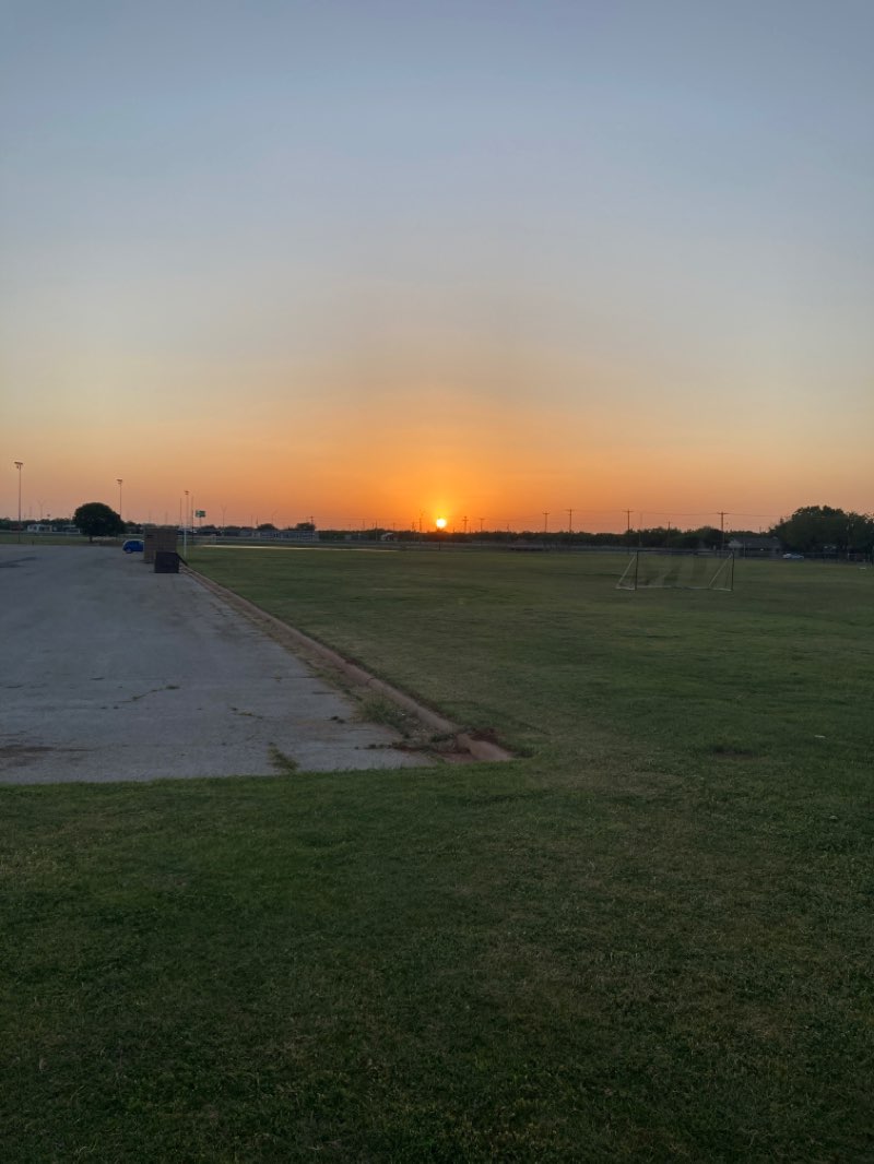 walking near me in Lee Park in winter