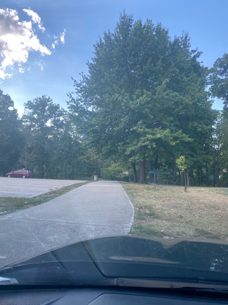 walking near me in Memorial Park in autumn