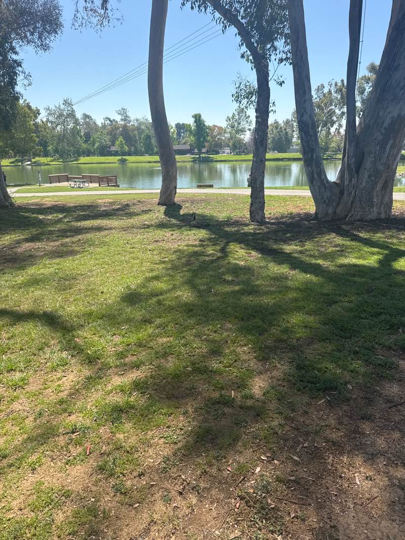 walking near me in Tri City Park in spring