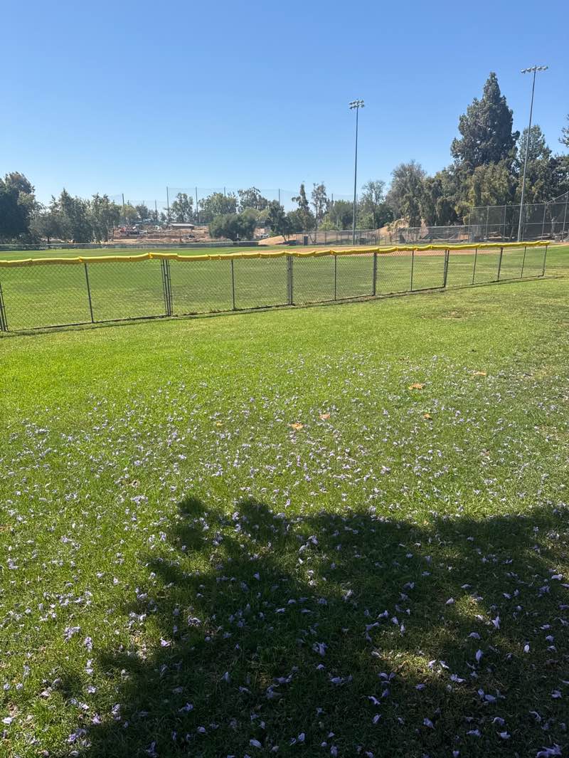walking near me in Arovista Park in summer