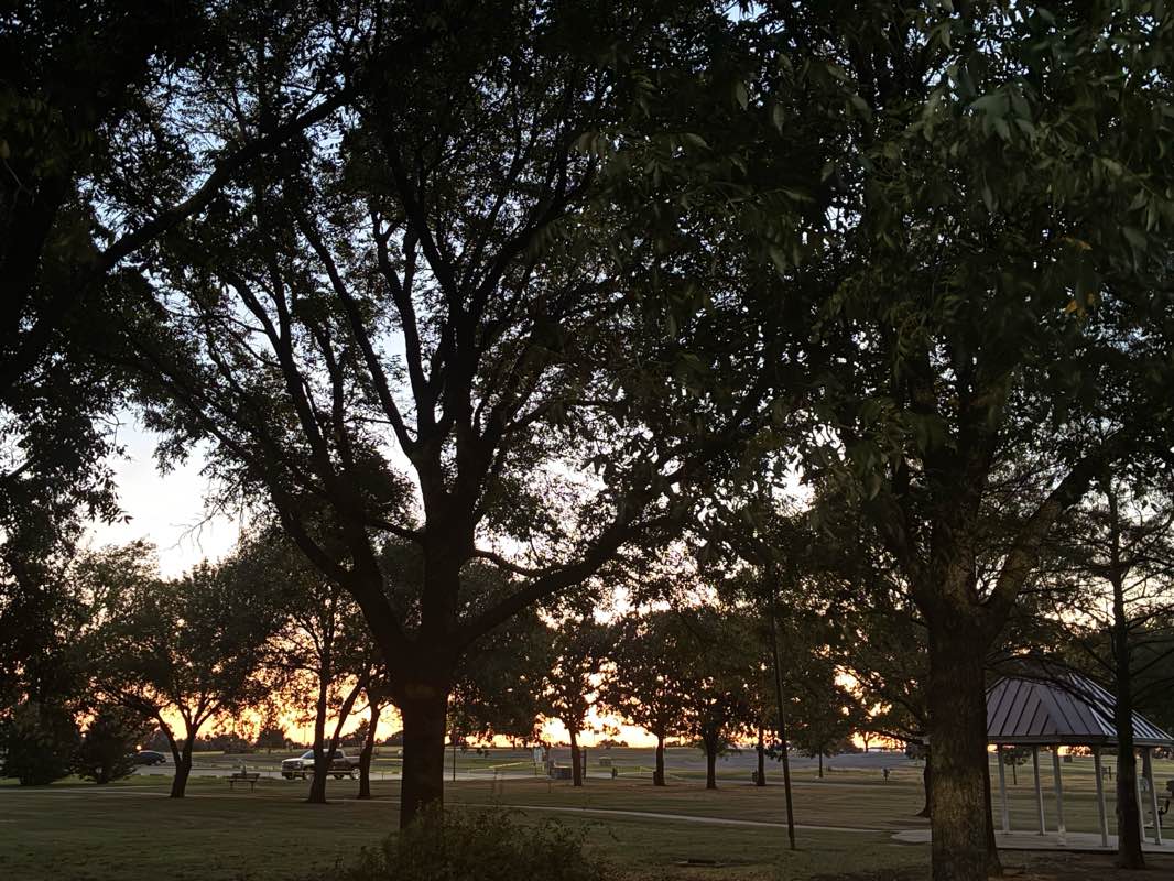 walking near me in Elmer Thomas Park in autumn