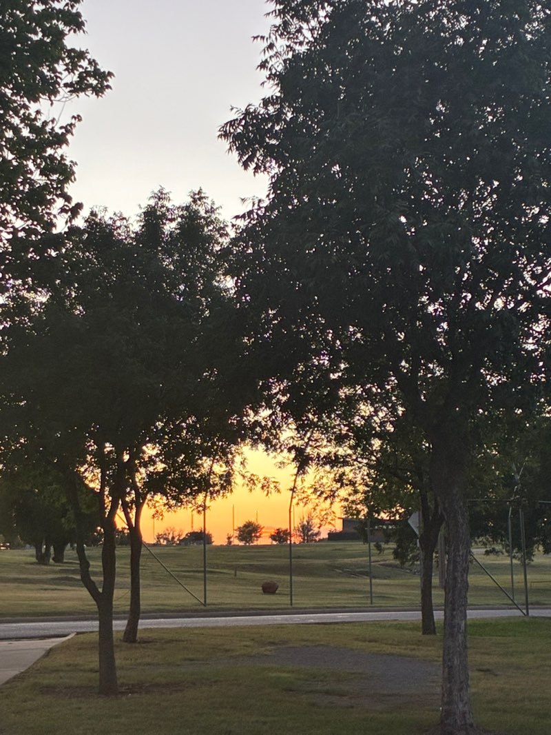 walking near me in Elmer Thomas Park in summer
