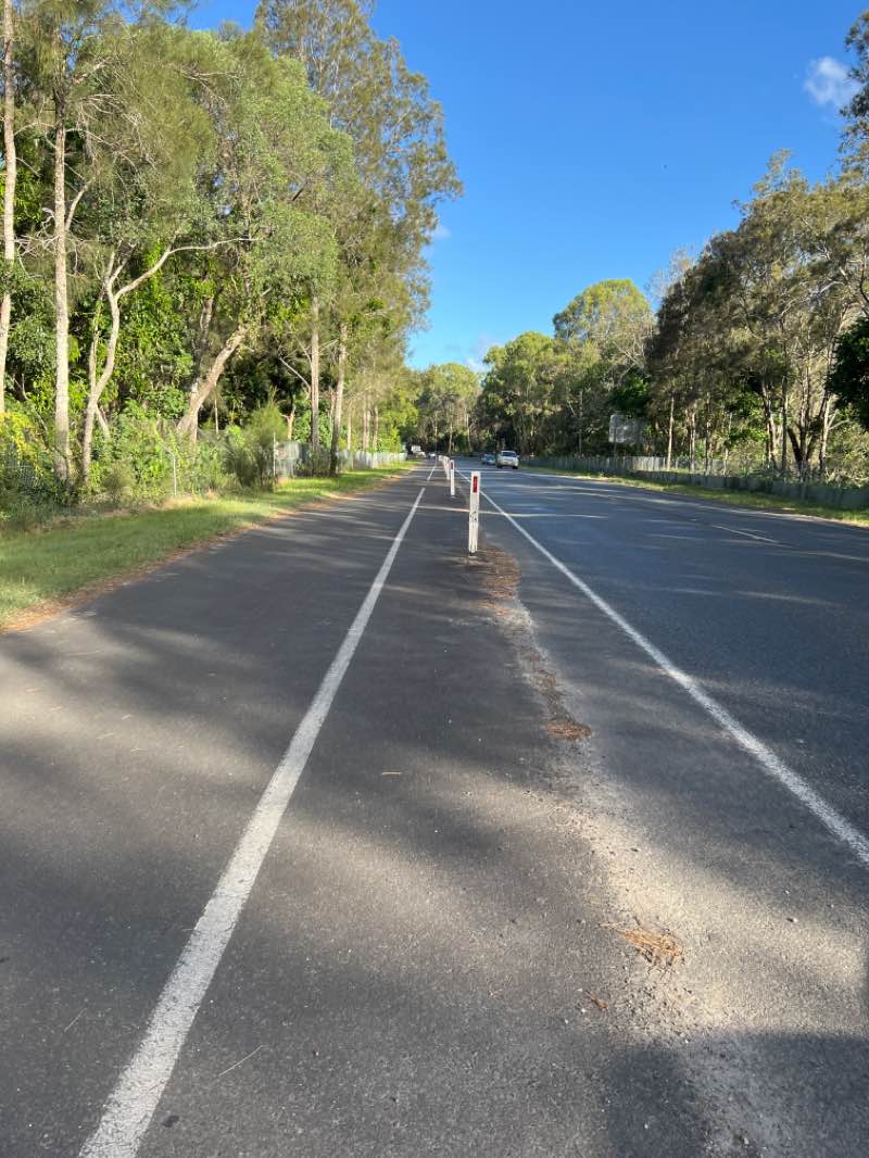 walking near me in Brunswick Heads Nature Reserve in summer
