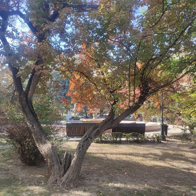 Kamal_2704 Kamal Marat post image