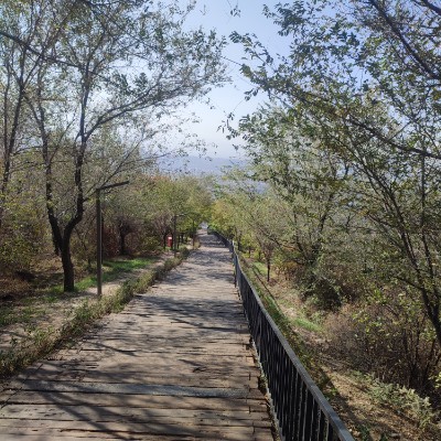 Kamal_2704 Kamal Marat post image