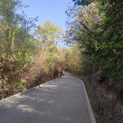 Kamal_2704 Kamal Marat post image