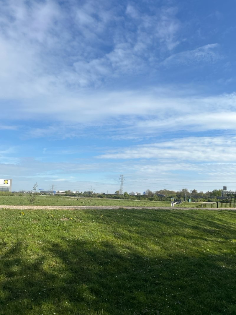 walking near me in Dog Kennel Walk in spring