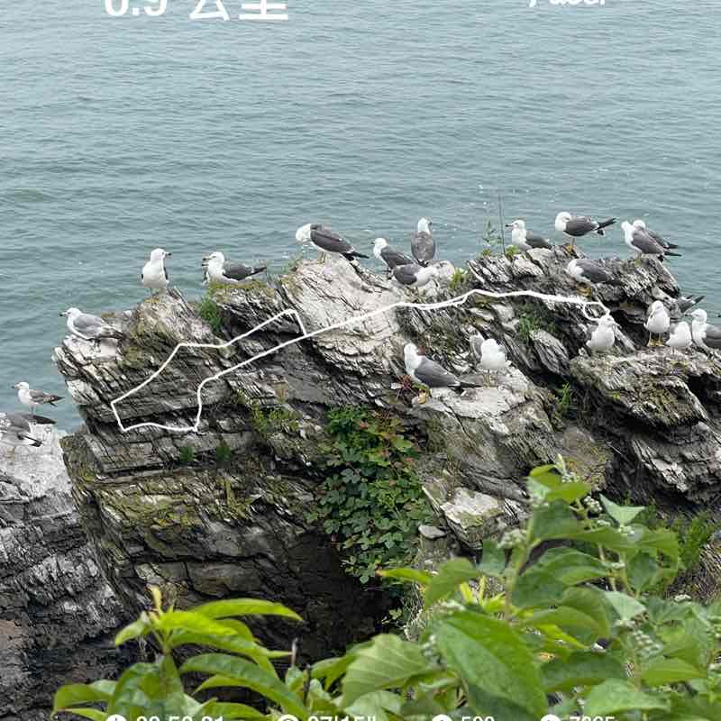 哥哥🧍‍♂️ post 1