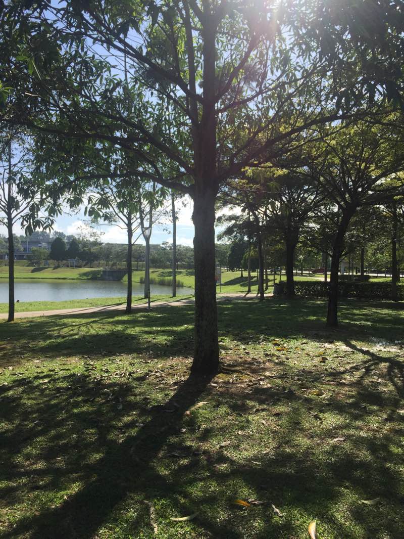 walking near me in Taman Tasik Ujana Nilai Impian in winter