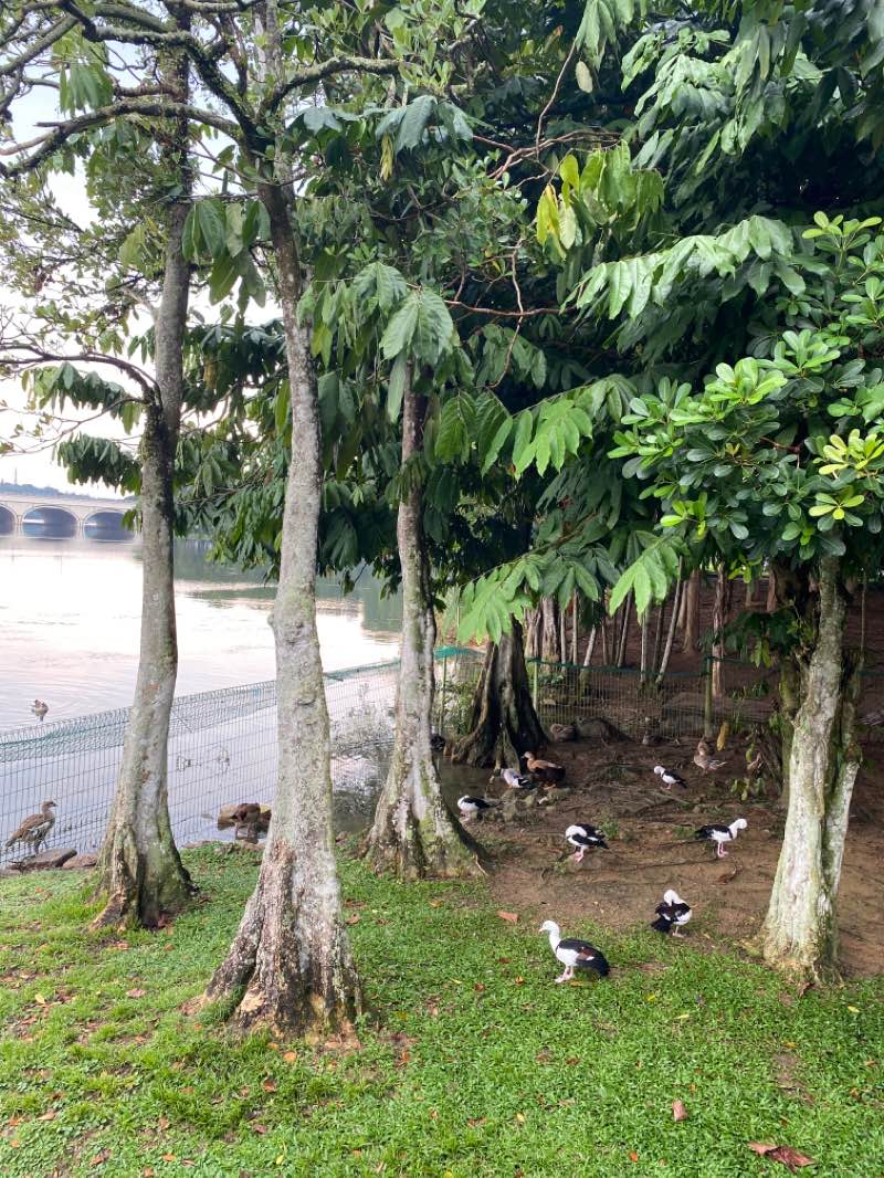 walking near me in Wetland Park in winter