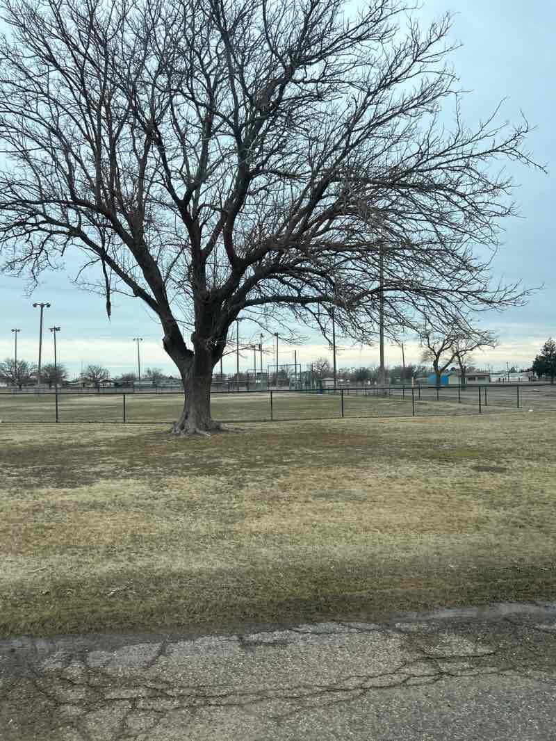 walking near me in Levelland City Park in winter