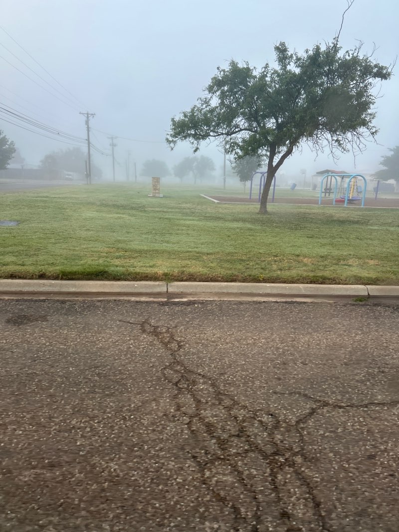 walking near me in Sherman Park in summer