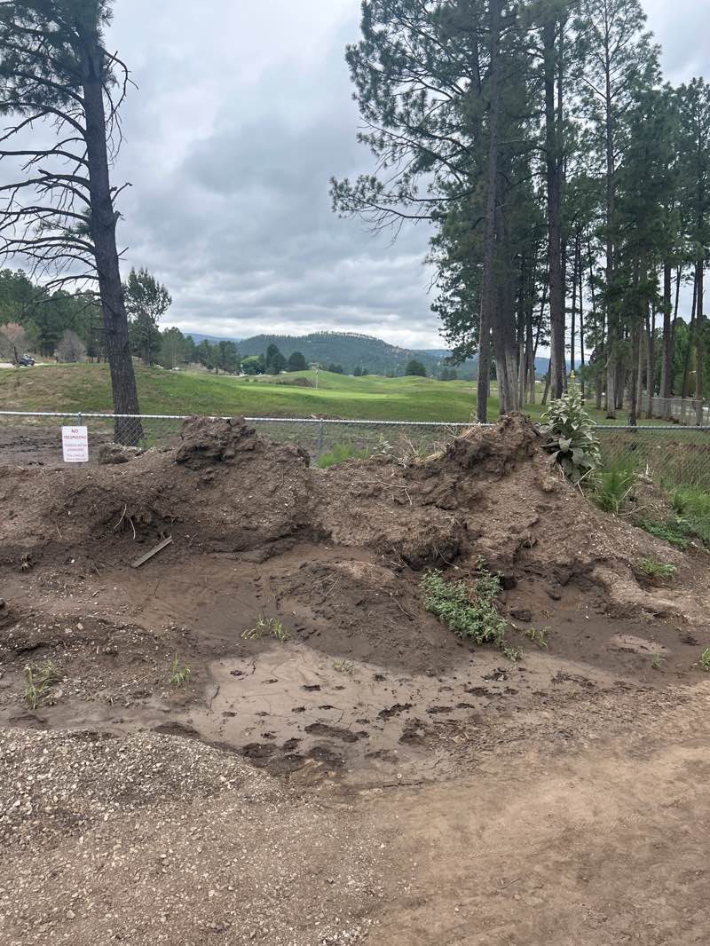 walking near me in North Park in summer