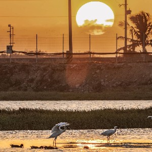 Sebastian 王朋泰 profile