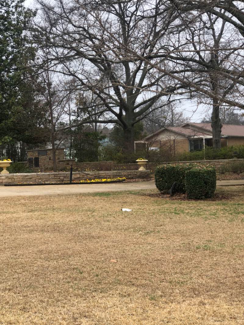 walking near me in Tyler Park in winter