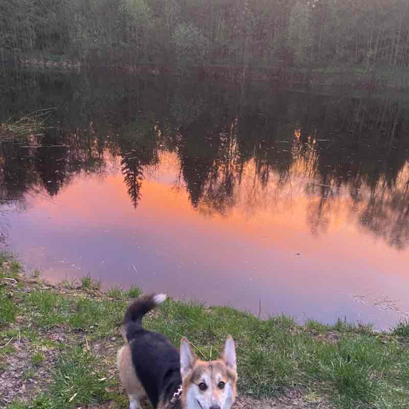 Ольга post 2