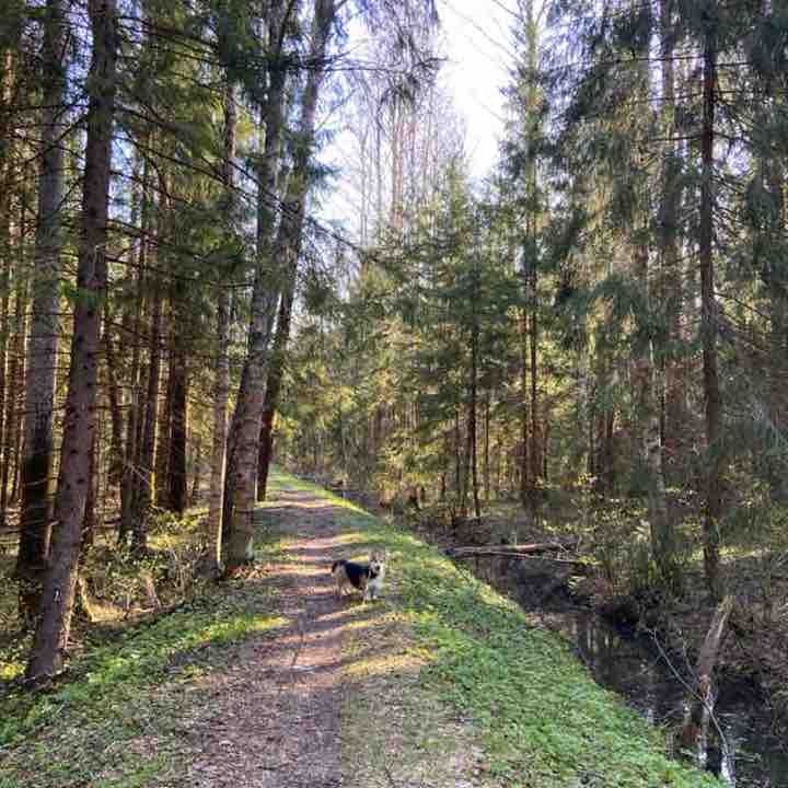 Ольга post 3