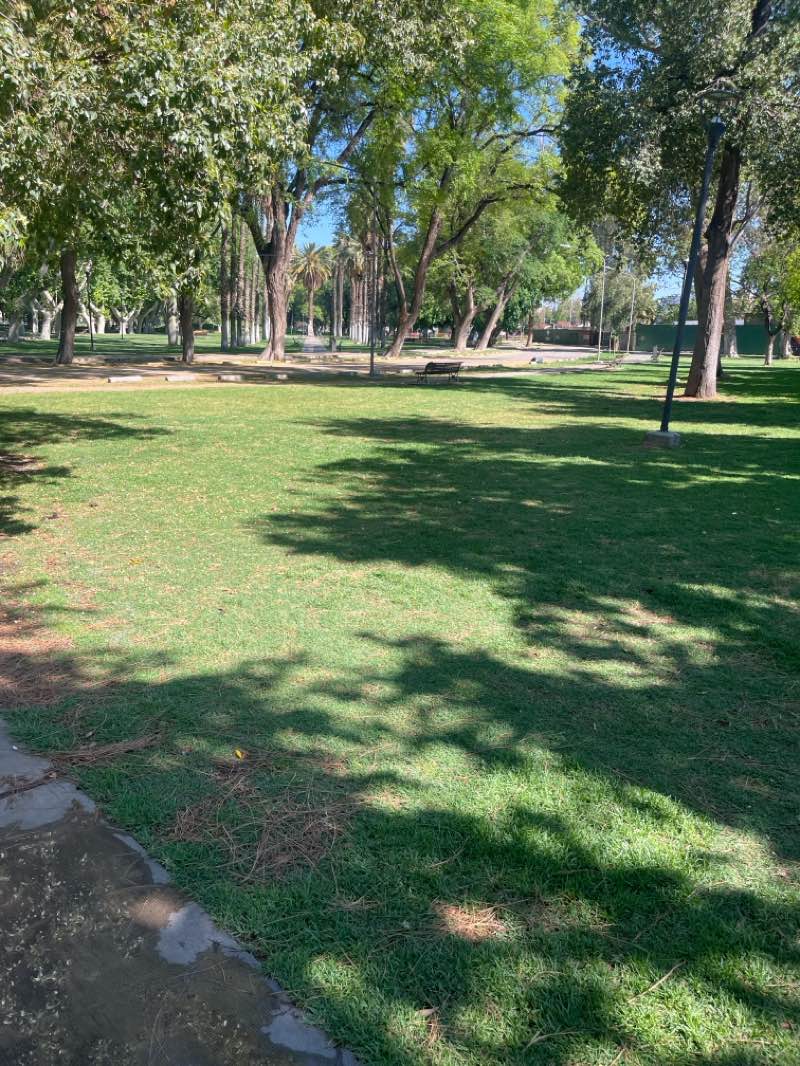 walking near me in Parque Manuel Belgrano in summer