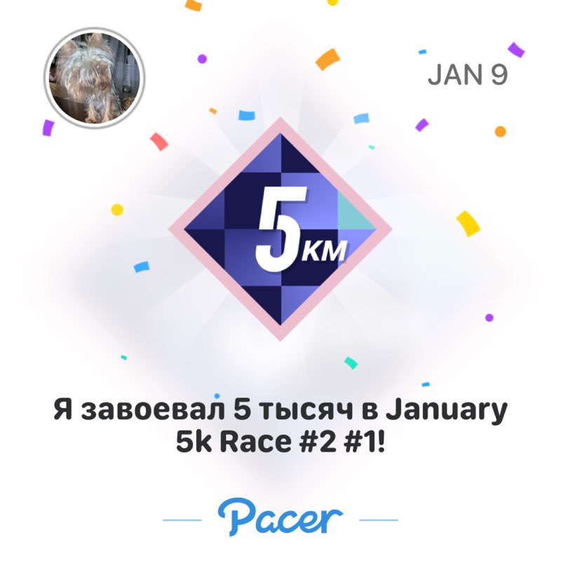 Oksana Liashenko 🐯 🇷🇺 post 1