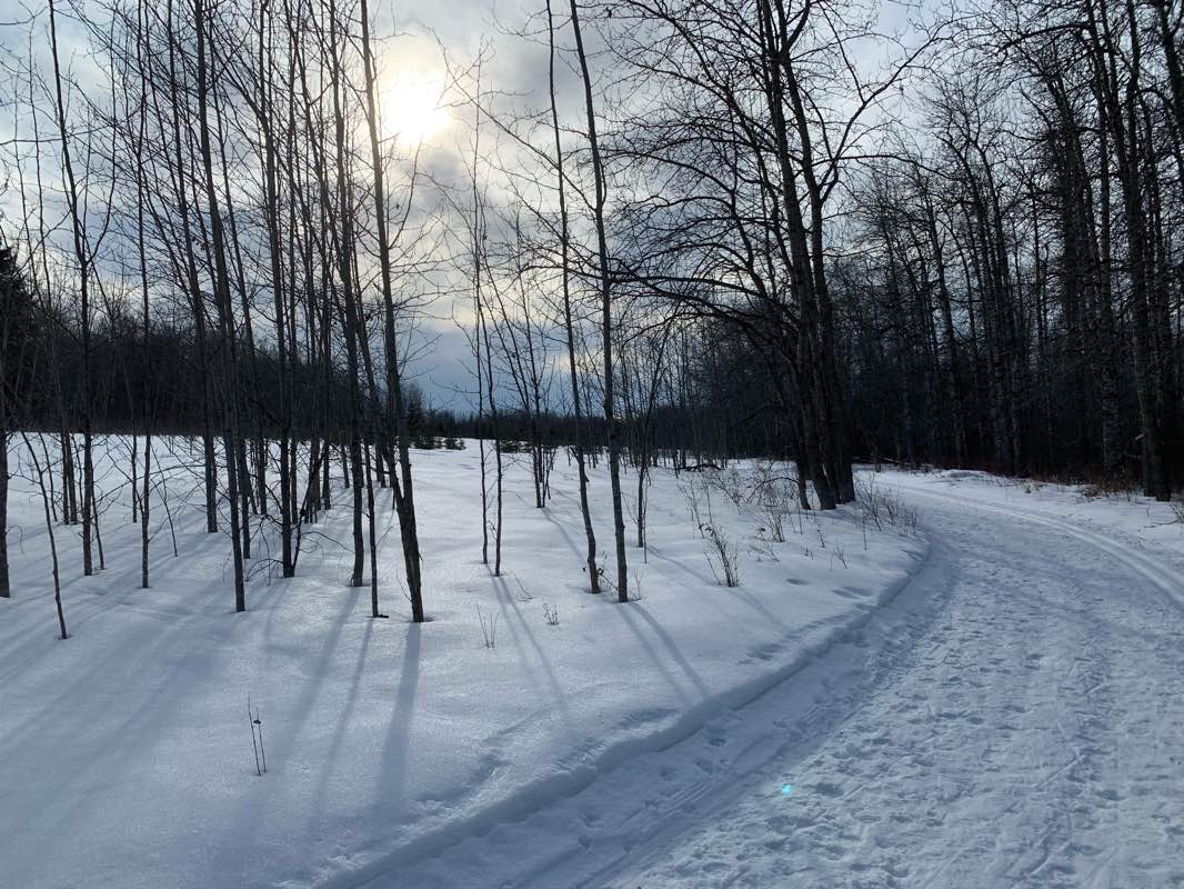 walking near me in Kingswood Park in winter
