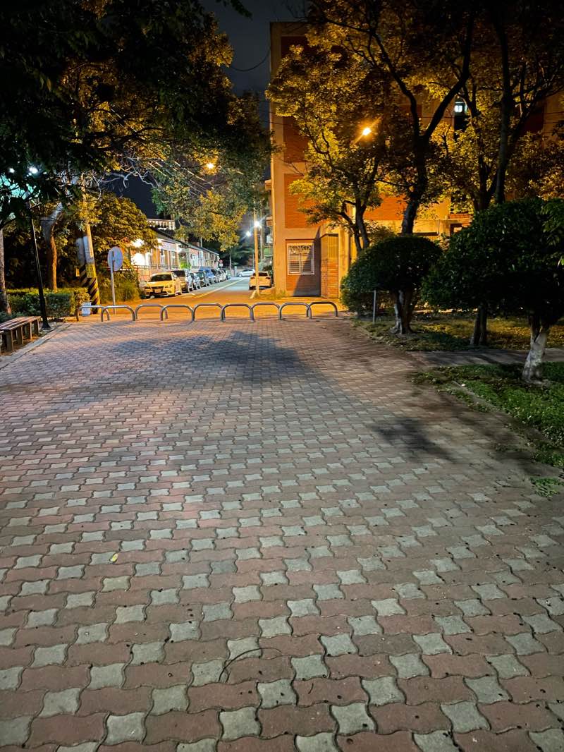 walking near me in 新豐公園 in winter