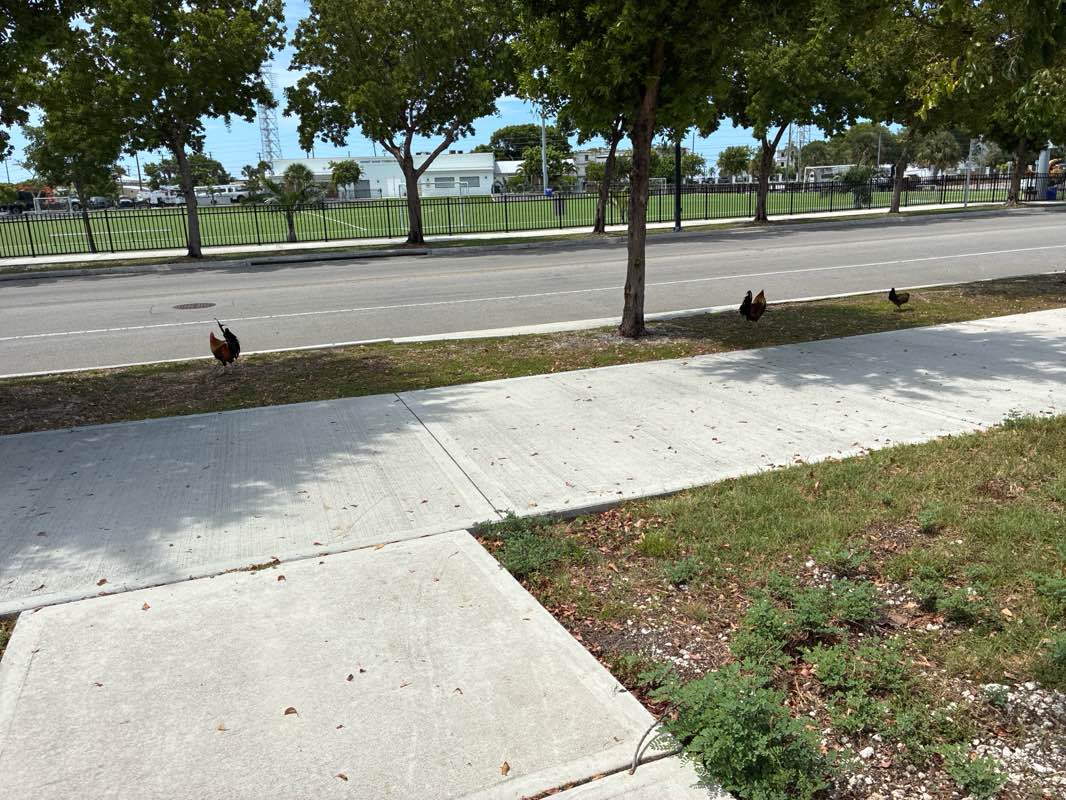walking near me in Truman Waterfront Park in summer