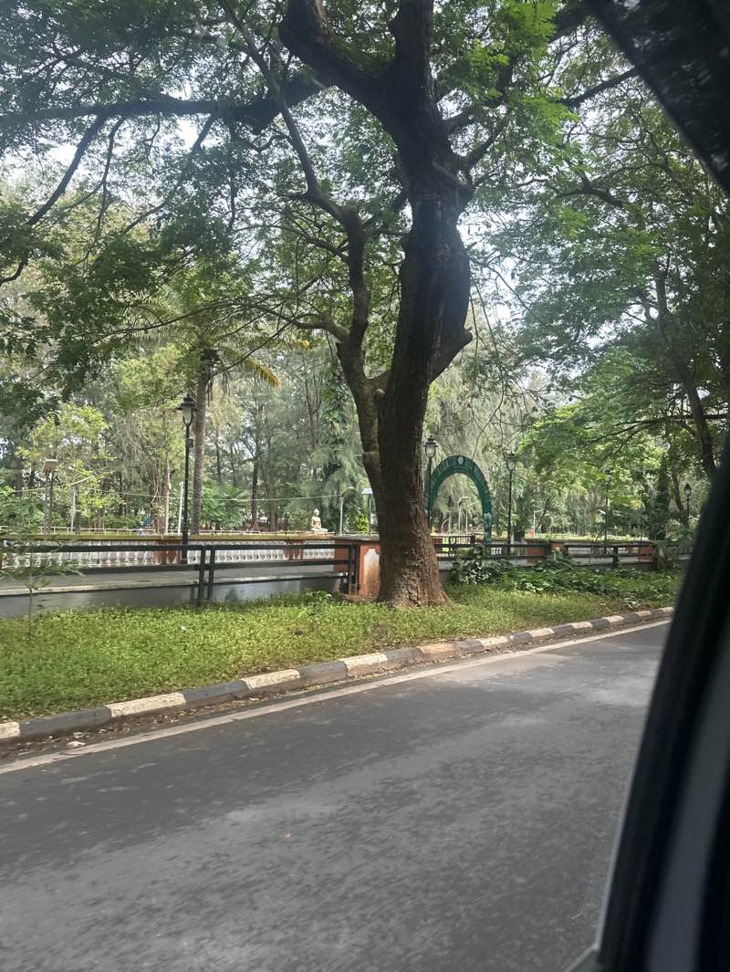 walking near me in Francisco Luis Gomes Garden in autumn