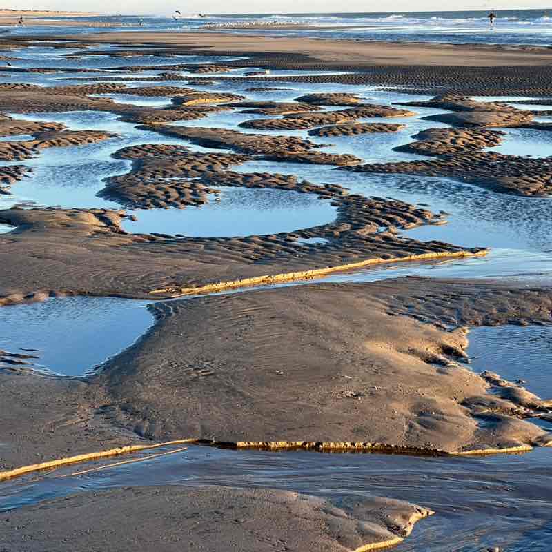 Nardcorereader805 post 2