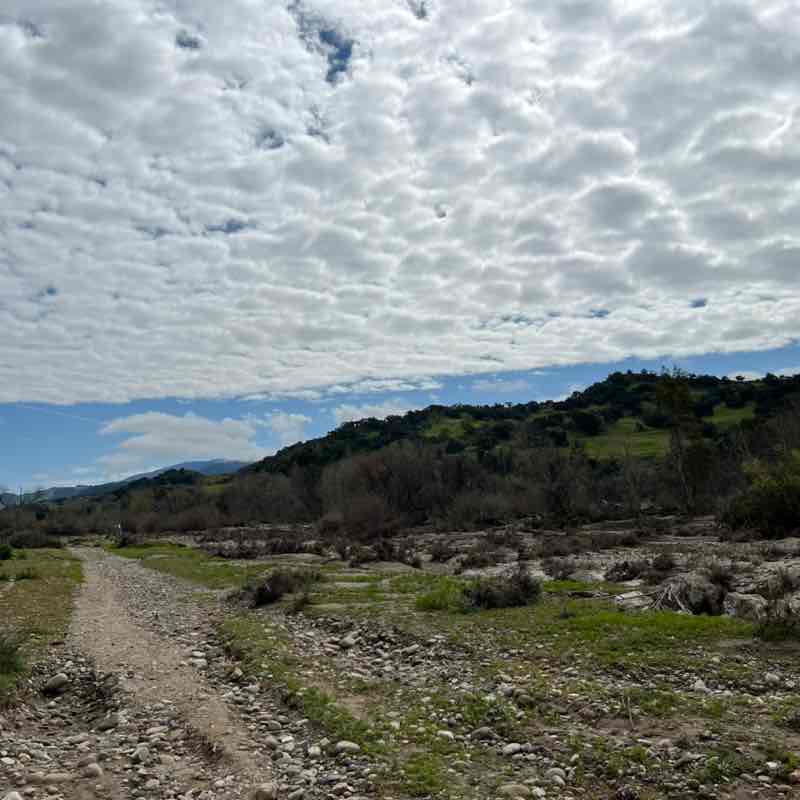 Nardcorereader805 post 2