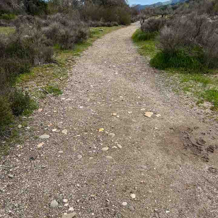 Nardcorereader805 post 3