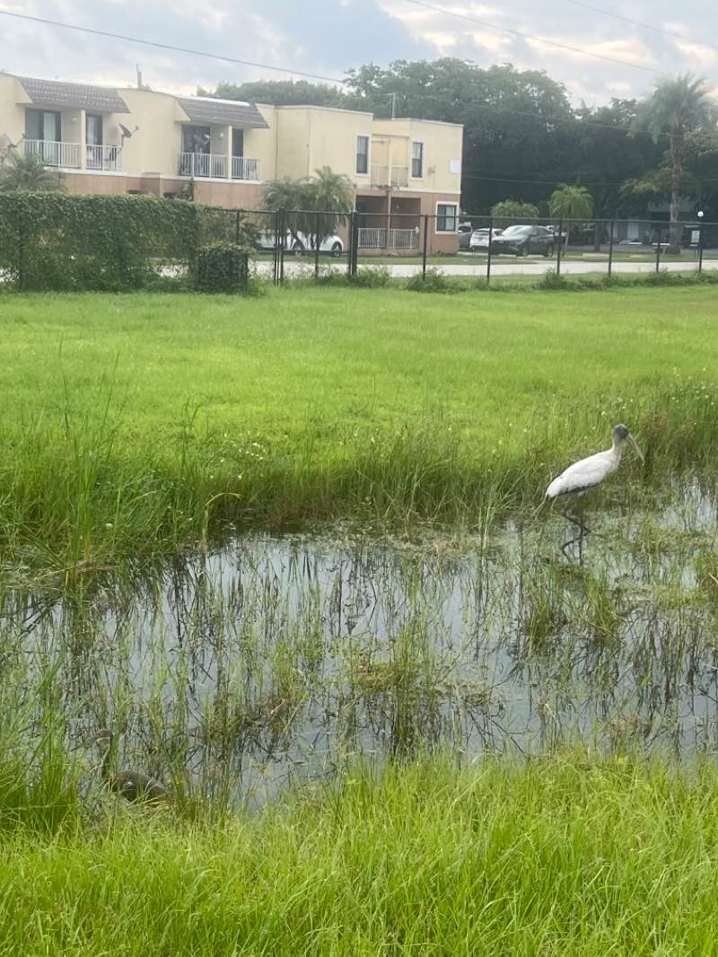 walking near me in Snake Warriors Island in winter