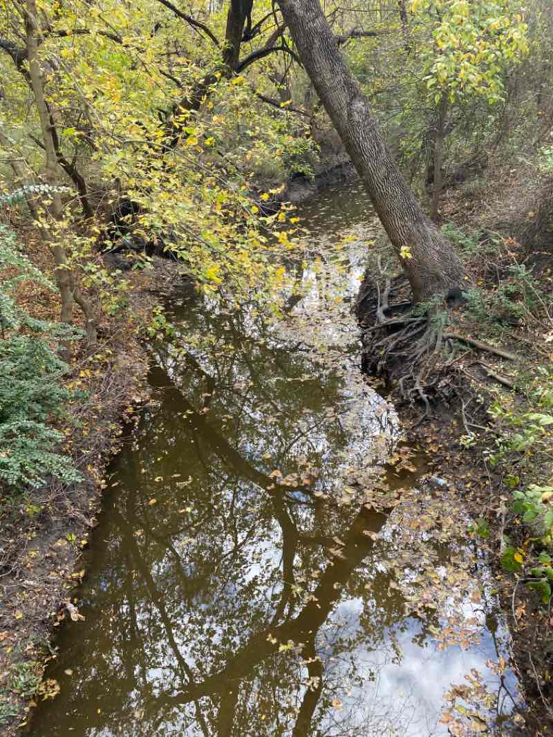 walking near me in Forney Community Park in winter