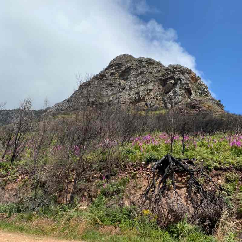 Charlene Nelson post 3