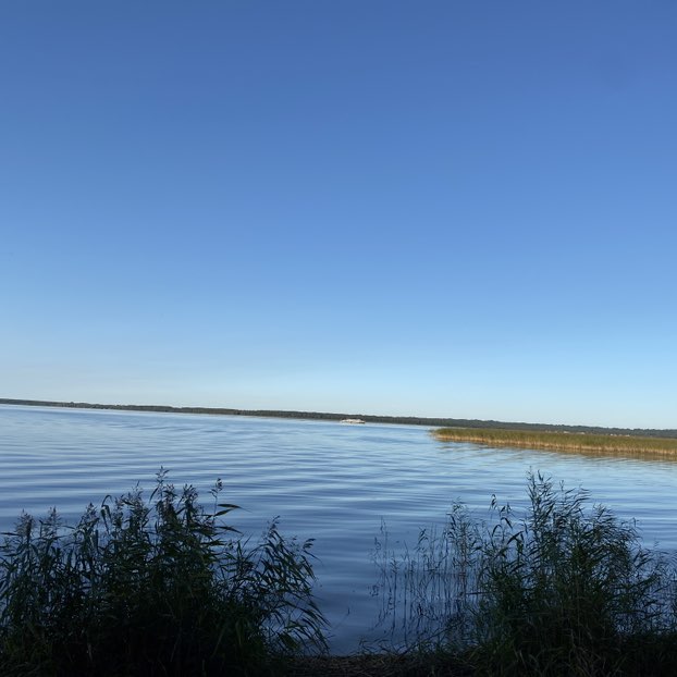 Владимир 🇷🇺🏊‍♂️🚶🏼‍♂️‍➡️ post 3