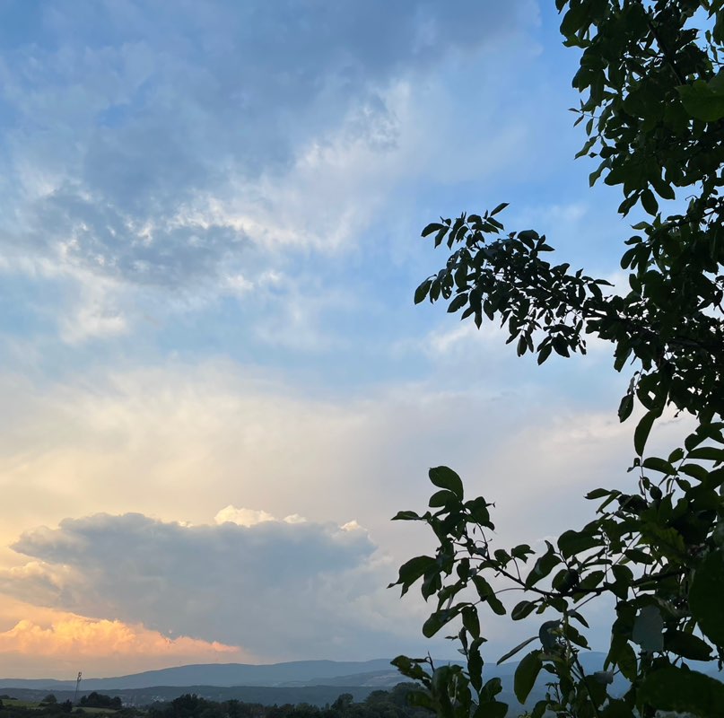 Carinette 🇫🇷☀️🌼📸 profile