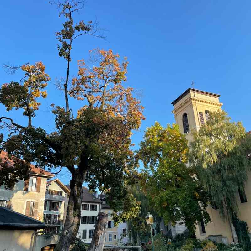 📸WALKS & PHOTOGRAPHY 📸 Carinette 🇫🇷☀️🌼📸 post image