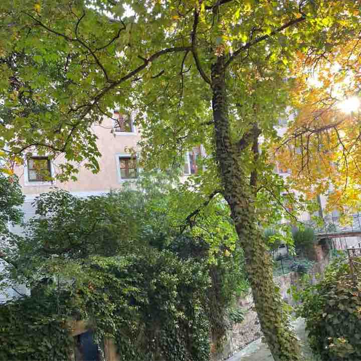 📸WALKS & PHOTOGRAPHY 📸 Carinette 🇫🇷☀️🌼📸 post image