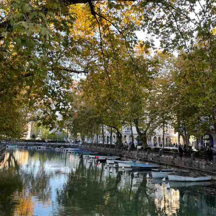 📸WALKS & PHOTOGRAPHY 📸 Carinette 🇫🇷☀️🌼📸 post image